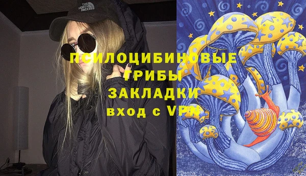 МДПВ Армянск
