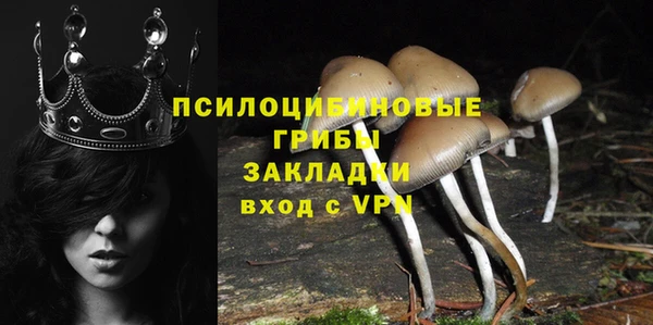 герыч Арсеньев