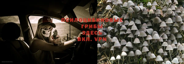 МДПВ Армянск