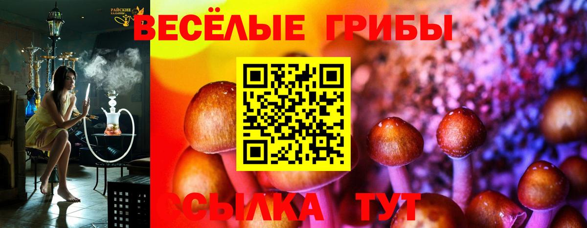 где можно купить   Псилоцибиновые грибы ЛСД  Волжский  Вход с VPN  Галлюциногенные грибы Psilocybe 